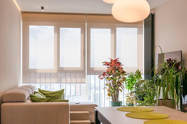 Motorized roller blinds cover large windows in a bright, cozy living room filled with indoor plants. Screen fabric for electric sun shades gently filters natural light. Smart home for shades.
